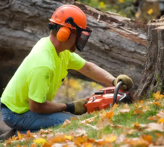 tree services Annandale